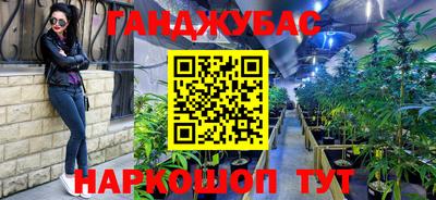 сатива Аргун