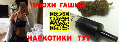 сатива Аргун