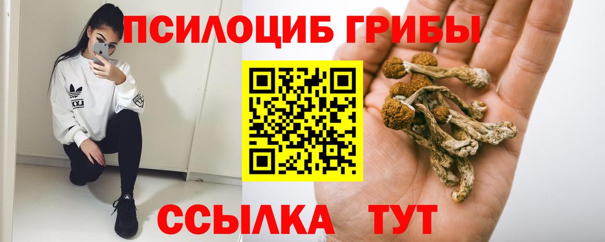 Псилоцибиновые грибы Psilocybe  Вход с VPN  Галлюциногенные грибы мухоморы  Алексин 